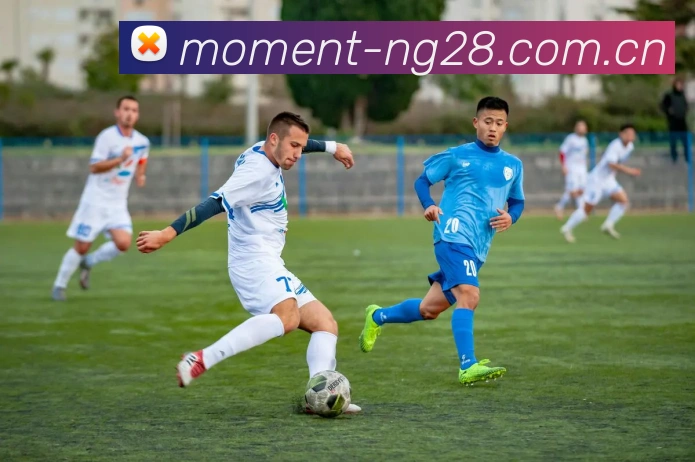 ng28品牌故事